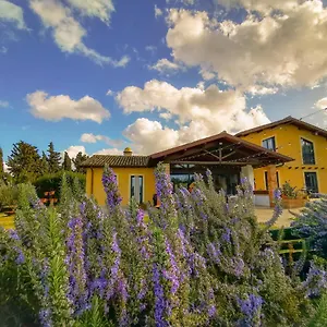 Farm stay Erba Regina, Frascati